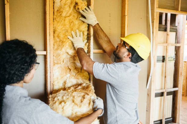 Best Insulation Repair Services  in Pittsburgh, PA