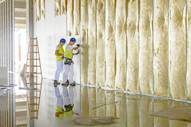 Best Attic Insulation Installation  in Pittsburgh, PA